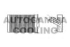 AUTOGAMMA 101971 Heat Exchanger, interior heating
